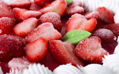 Fraises en hiver: Plantation, variétés et soins