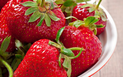 Les fraises françaises : un délice de saison !