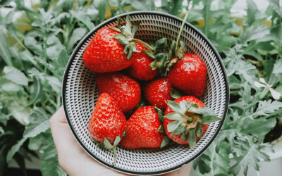 La Fraise Kara : Un voyage culinaire inégalé