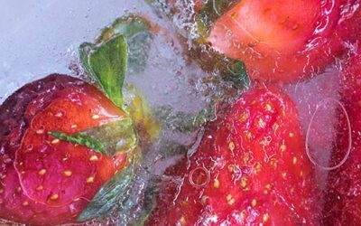 Fraise congelée maison : prolonger le plaisir toute l’année
